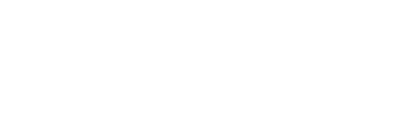 flexile-white-logo